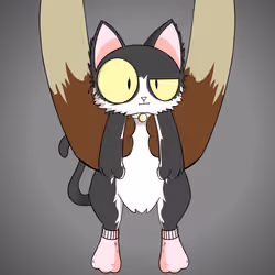 Kitten #869