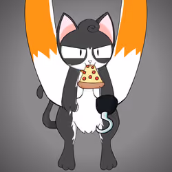 Kitten #534