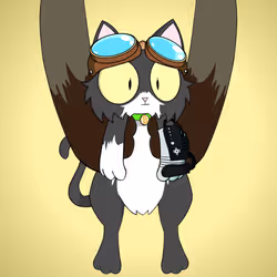 Kitten #3050