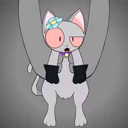 Kitten #6814