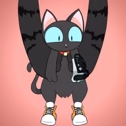 Kitten #6480