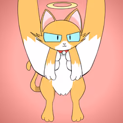 Kitten #4992