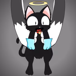 Kitten #6805