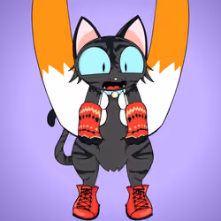 Kitten #4746