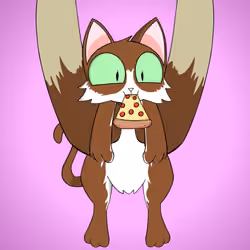 Kitten #4982