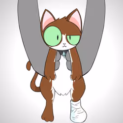 Kitten #4395