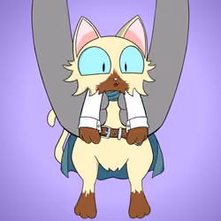 Kitten #9894