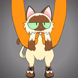 Kitten #8108