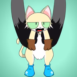 Kitten #8665