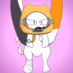 Kitten #700