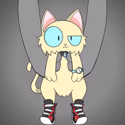 Kitten #244