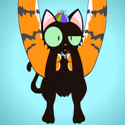 Kitten #6309