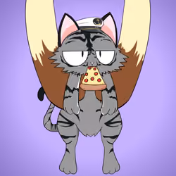 Kitten #8803