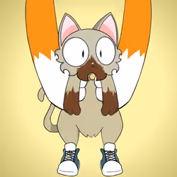Kitten #8410