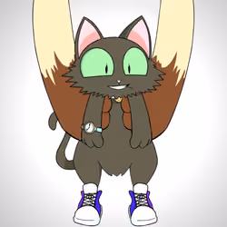 Kitten #9893