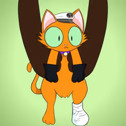 Kitten #7713