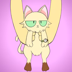 Kitten #7891