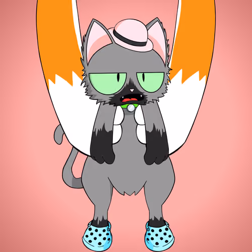 Kitten #6292