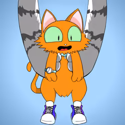 Kitten #7807