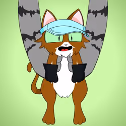 Kitten #1755