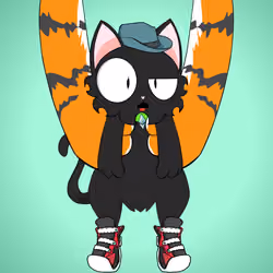 Kitten #2136
