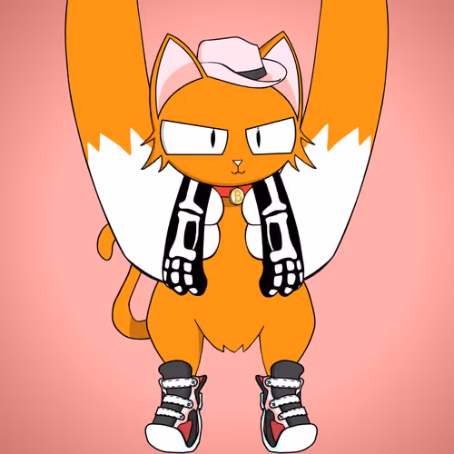 Kitten #4238