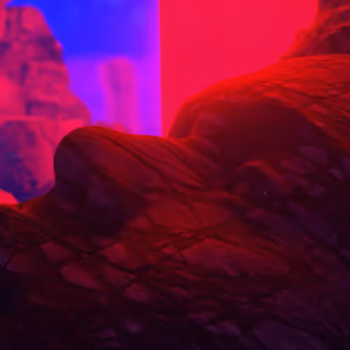 Item #20600011572 Media