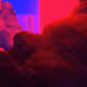 20600011648