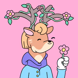 #260