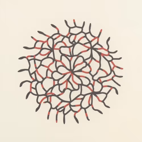 Atlas Of Perception