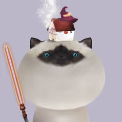585