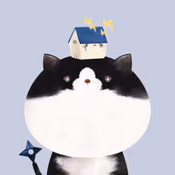 256