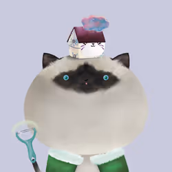 260