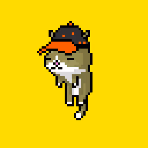 Puxxies