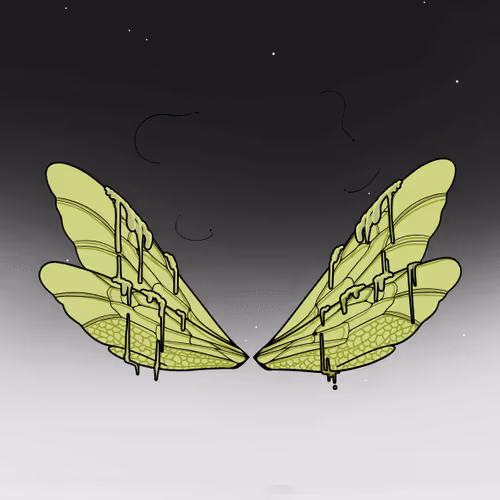 36