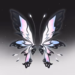Wings #0058