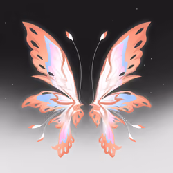 Wings #0920