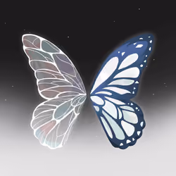 Wings #0442