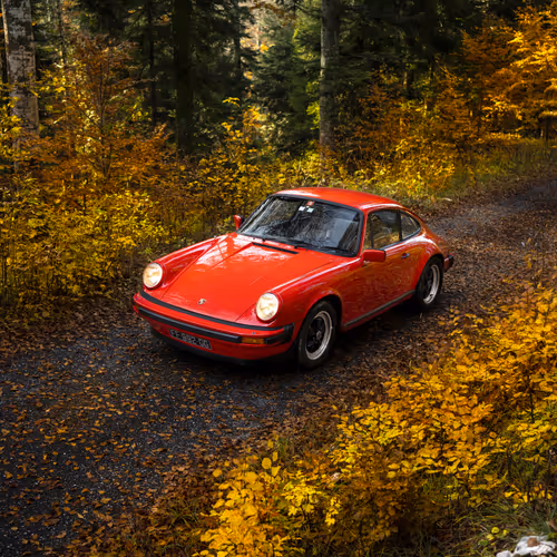 Timeless Fall
