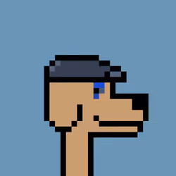 1005