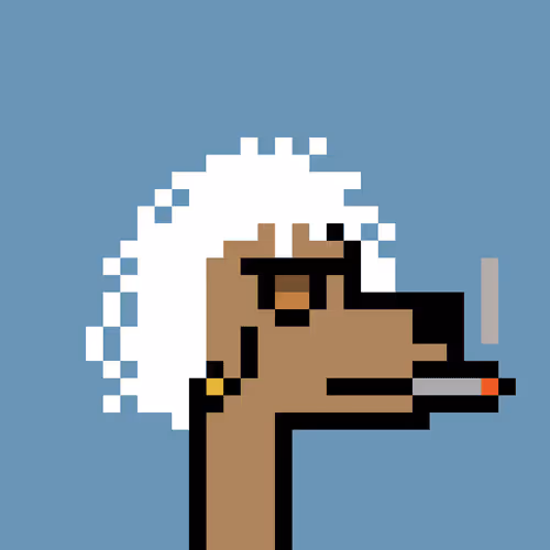 Bitdawgs