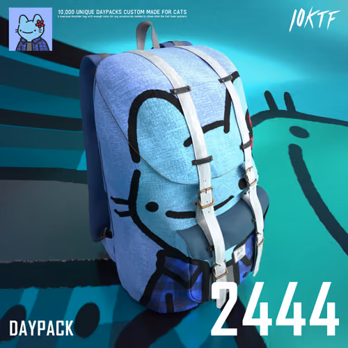 Cool Daypack #2444