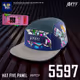 HV-MTL Five Panel #5597