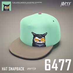 Moonbird Snapback #6477