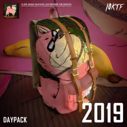 Kennel Daypack #2019