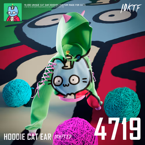 Cool Cat Ear Hoodie #4719