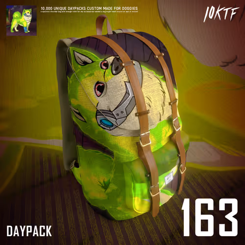 Kennel Daypack #163