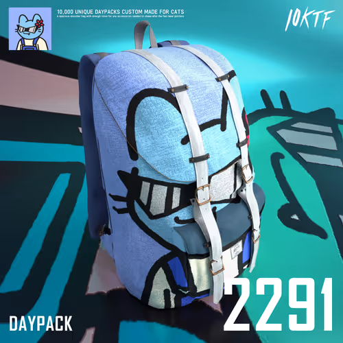 Cool Daypack #2291