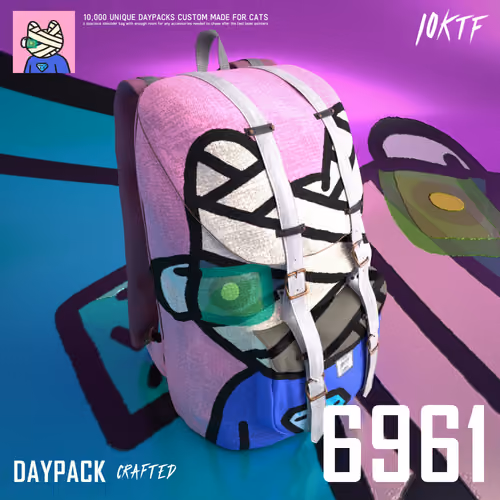 Cool Daypack #6961