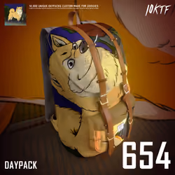 Kennel Daypack #654